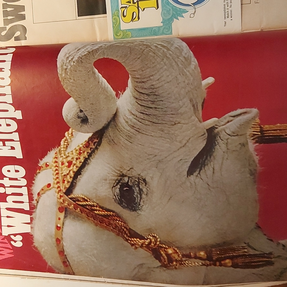 Life Magazine - Picture 7 of 8